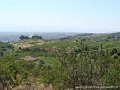DSC05869
